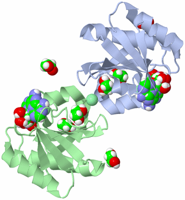 Image Biological Unit 3