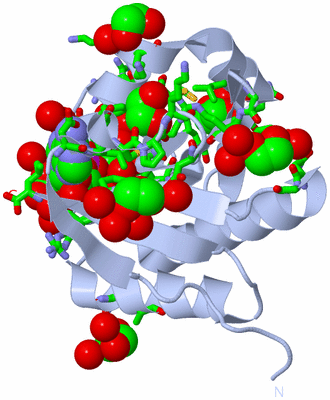 Image Biol. Unit 1 - sites