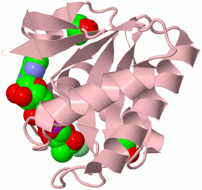 Image Biological Unit 3