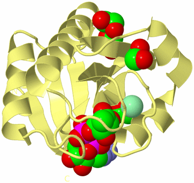 Image Biological Unit 4