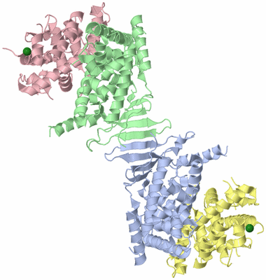 Image Asym./Biol. Unit