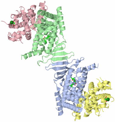 Image Asym./Biol. Unit - sites