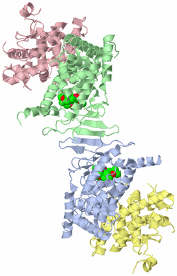 Image Asym./Biol. Unit