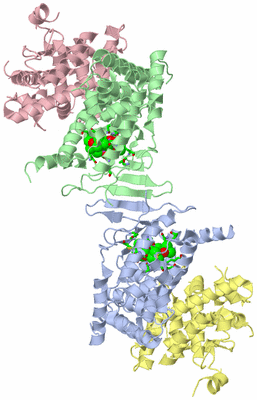 Image Asym./Biol. Unit - sites