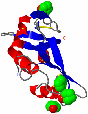 Image Asymmetric Unit