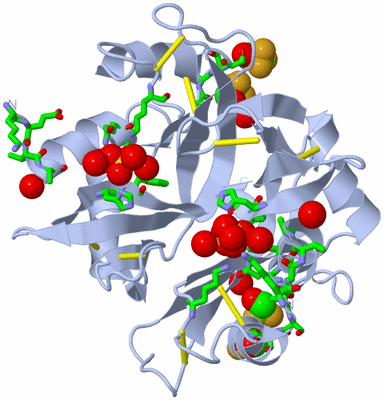 Image Biol. Unit 1 - sites