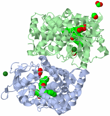 Image Biological Unit 3