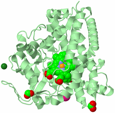 Image Biological Unit 2