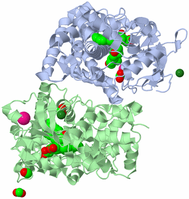 Image Biological Unit 3