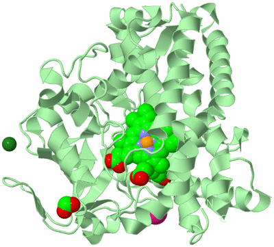 Image Biological Unit 2