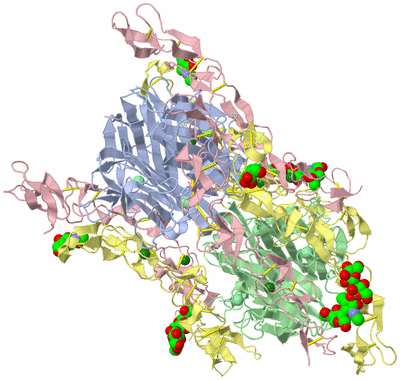 Image Biological Unit 1