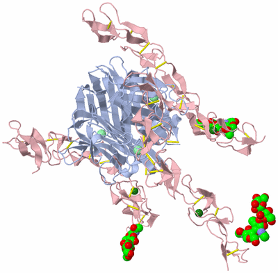 Image Biological Unit 2