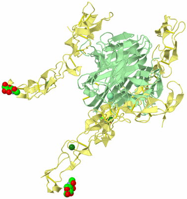 Image Biological Unit 3