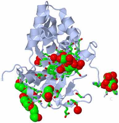 Image Biol. Unit 1 - sites