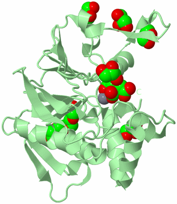 Image Biological Unit 2