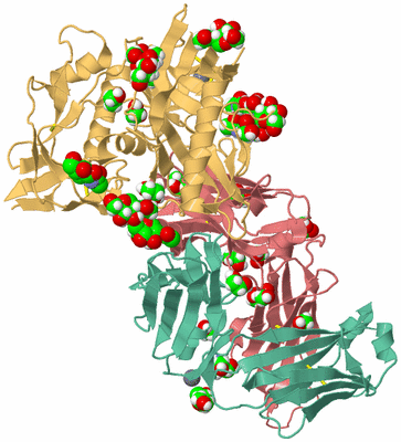 Image Asym./Biol. Unit