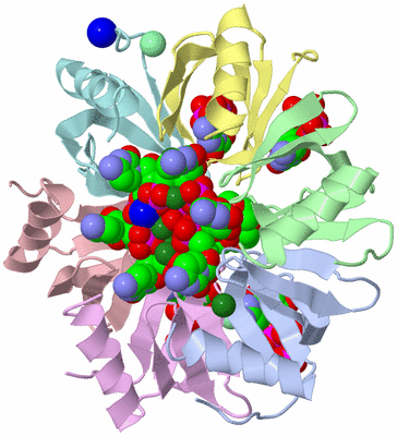 Image Asym./Biol. Unit