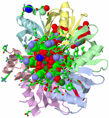 Image Asym./Biol. Unit - sites