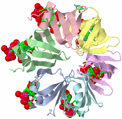 Image Asym./Biol. Unit - sites