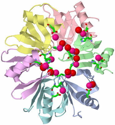 Image Asym./Biol. Unit - sites