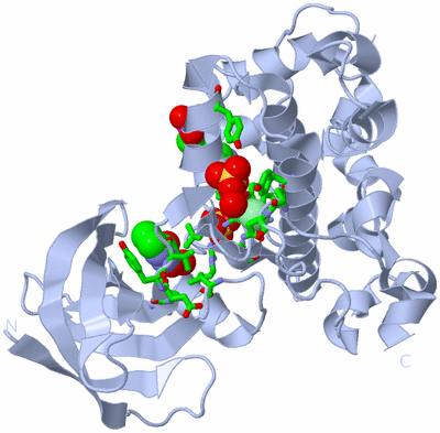 Image Biol. Unit 1 - sites