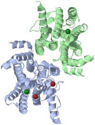 Image Asym./Biol. Unit