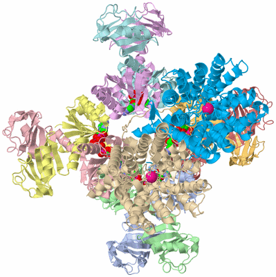 Image Biological Unit 1