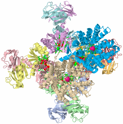 Image Biol. Unit 1 - sites