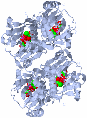 Image Biological Unit 1