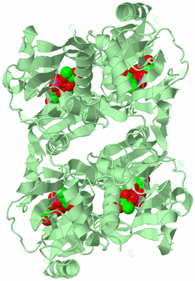 Image Biological Unit 2