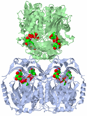 Image Biological Unit 3