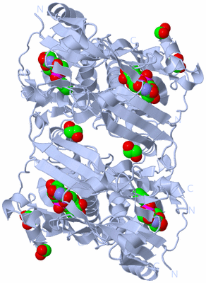 Image Biological Unit 1