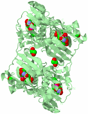 Image Biological Unit 2