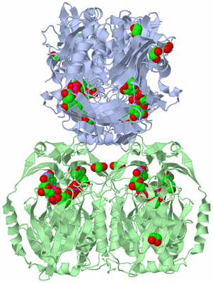 Image Biological Unit 3