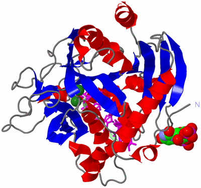 Image Asym./Biol. Unit