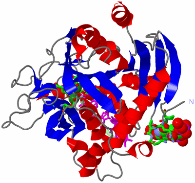 Image Asym./Biol. Unit - sites