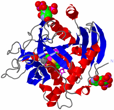 Image Asym./Biol. Unit