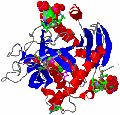 Image Asym./Biol. Unit - sites