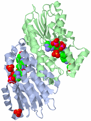 Image Biological Unit 1