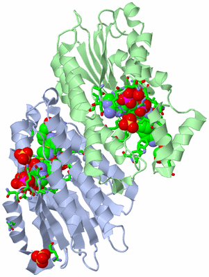 Image Biol. Unit 1 - sites