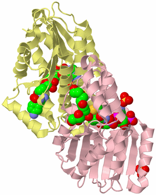 Image Biological Unit 2