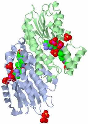 Image Biological Unit 1