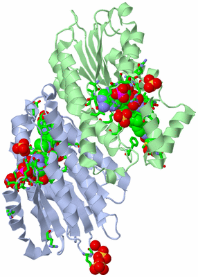 Image Biol. Unit 1 - sites