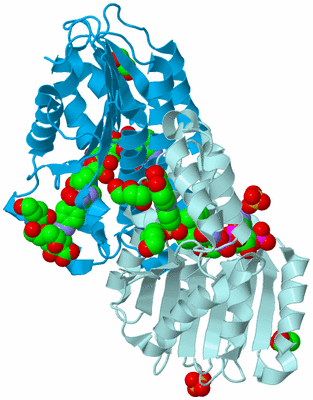 Image Biological Unit 2