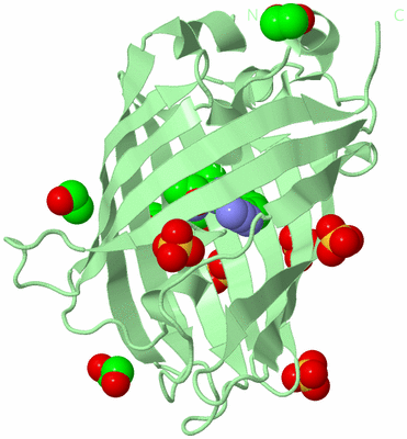 Image Biological Unit 2