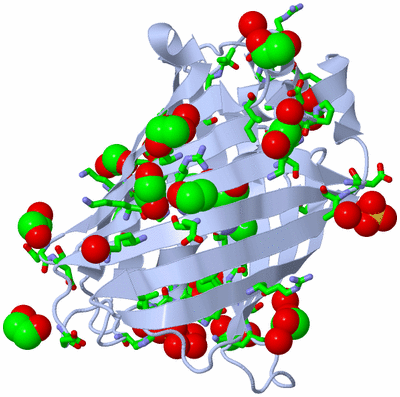 Image Biol. Unit 1 - sites