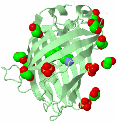 Image Biological Unit 2