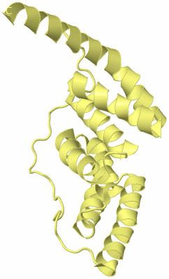 Image Biological Unit 4