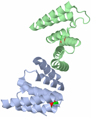 Image Biological Unit 3