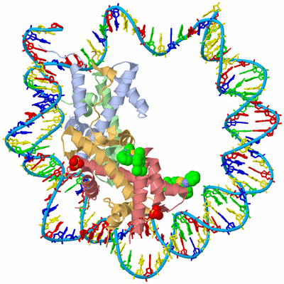 Image Biological Unit 1